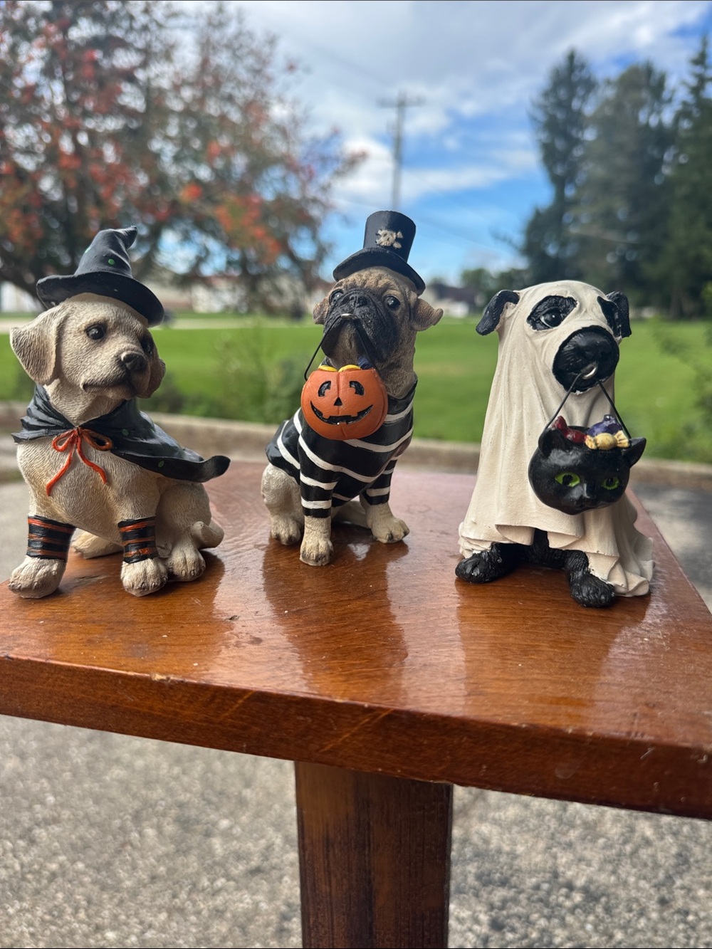 Halloween Puppy Figurine Set - Beige, Black & White Home Accents